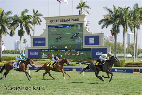 Course - Turf changed to All Weather Track. . Gulfstream park results today